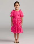 Girls Pink Chiffon High Neck Ruffle Dress